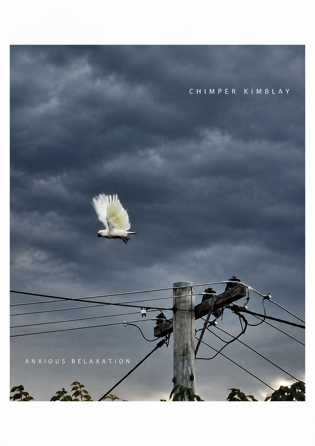 Anxious Relaxation artwork: a white bird flying against storm clouds above power lines